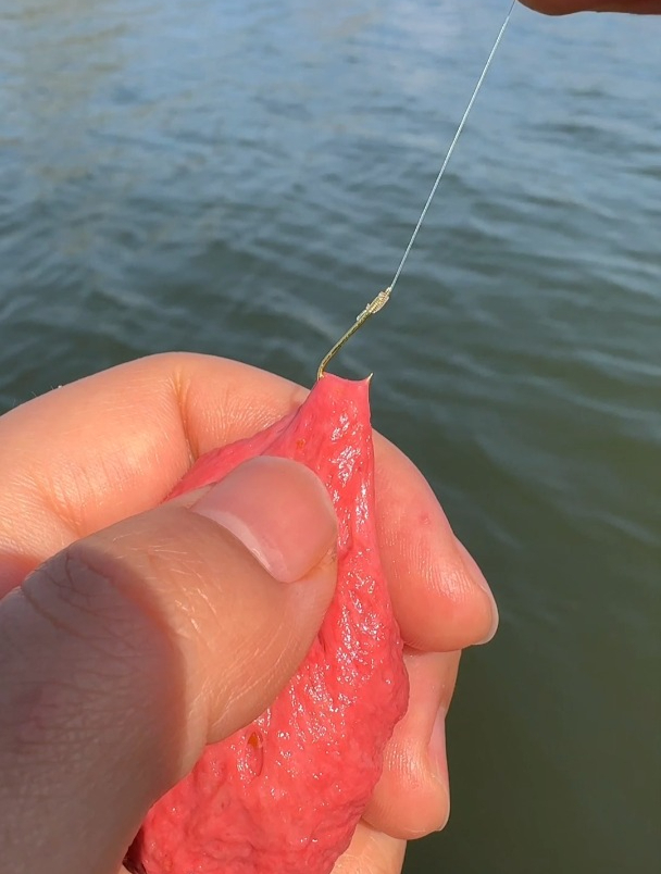 面筋饵专用溪流钓石斑鱼,但你真的会用吗?