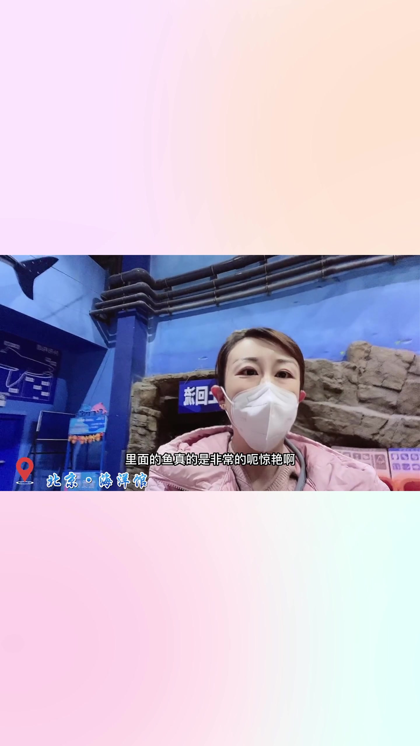 北京海洋馆,鲨鱼、白鲸,中华鲟