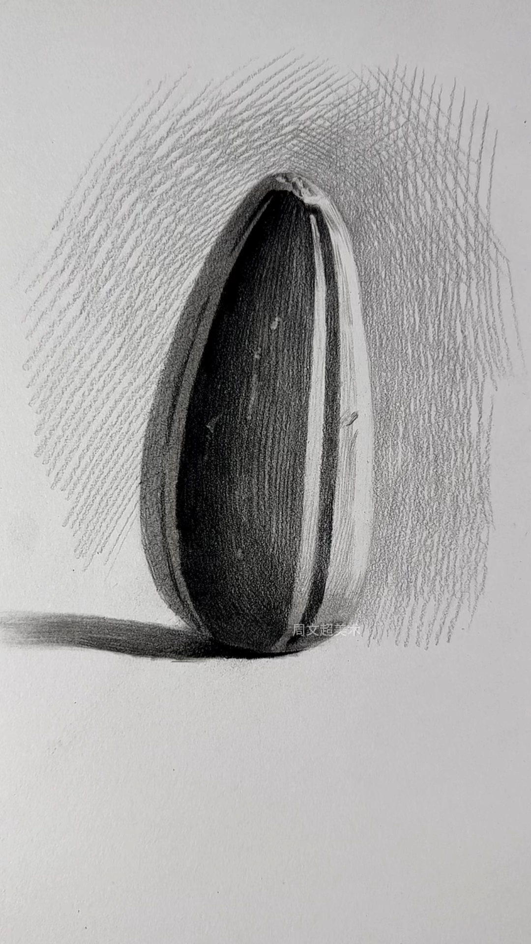 零基础轻松学会瓜子画法