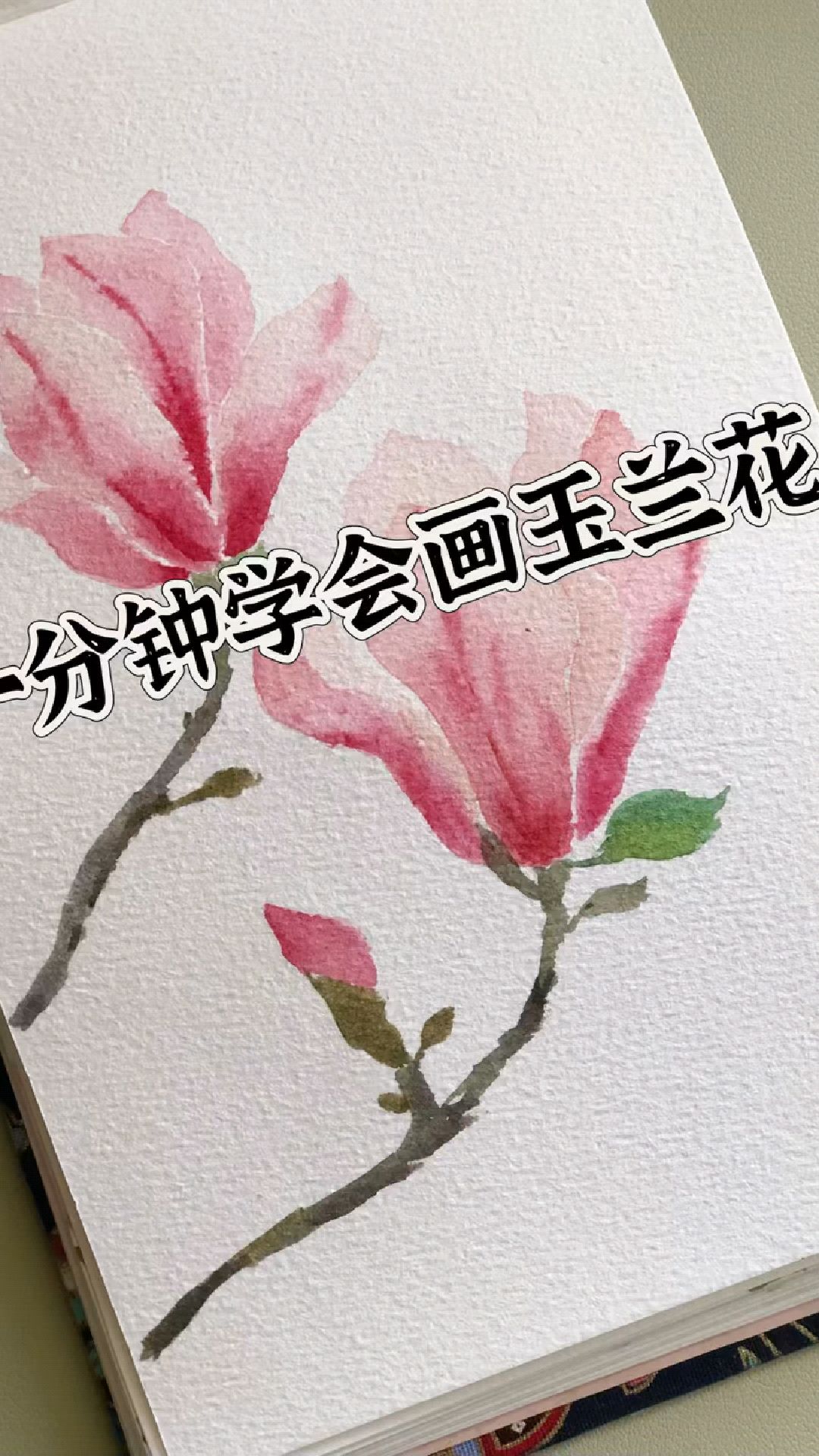 一分钟学会画玉兰花,超简单的玉兰画法,一起来画吧