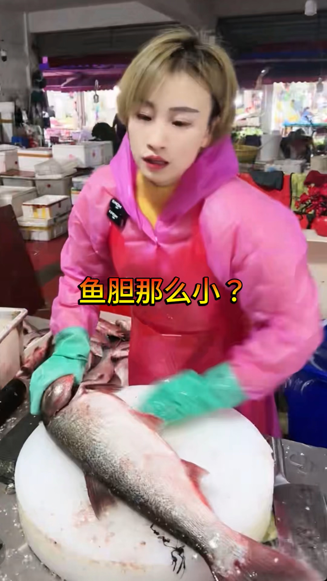 都说杀鱼胆破了,请看看鱼胆多大
