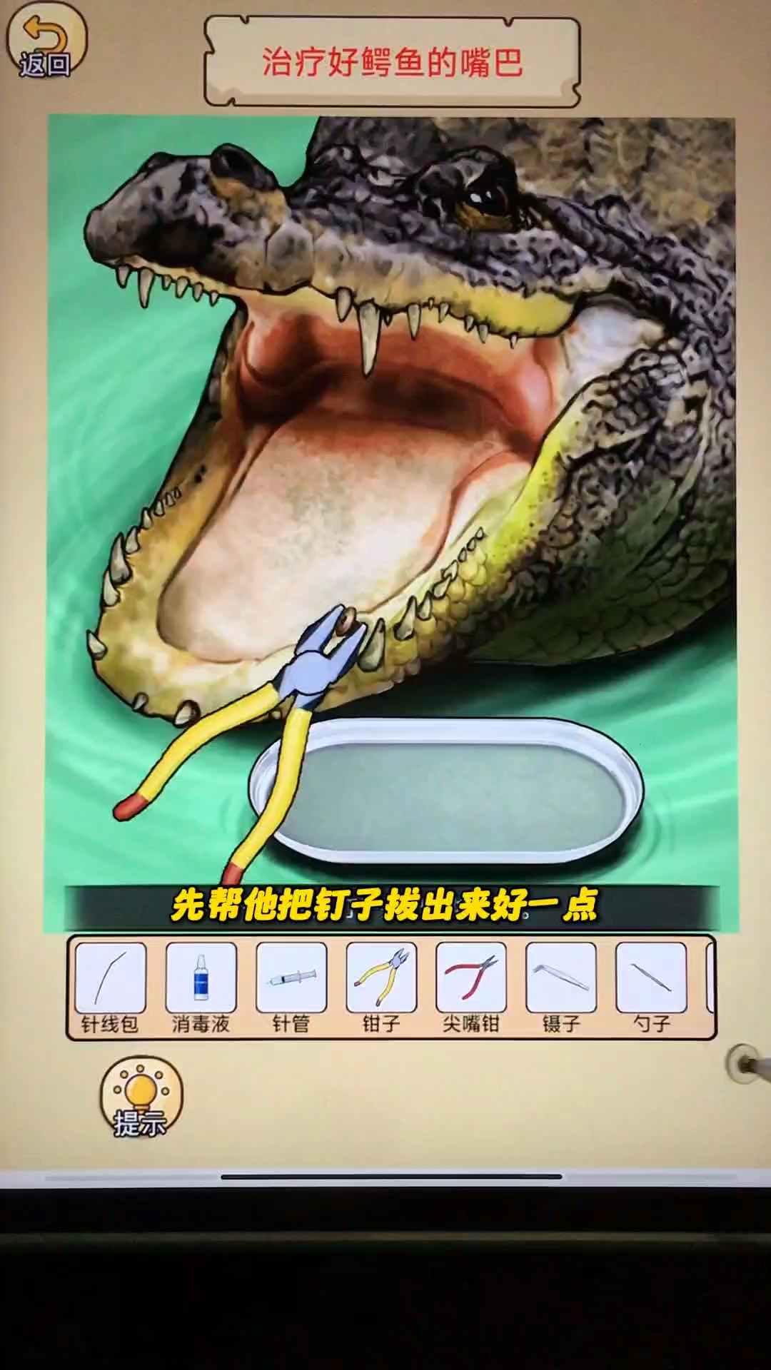 帮助鳄鱼治疗好嘴巴