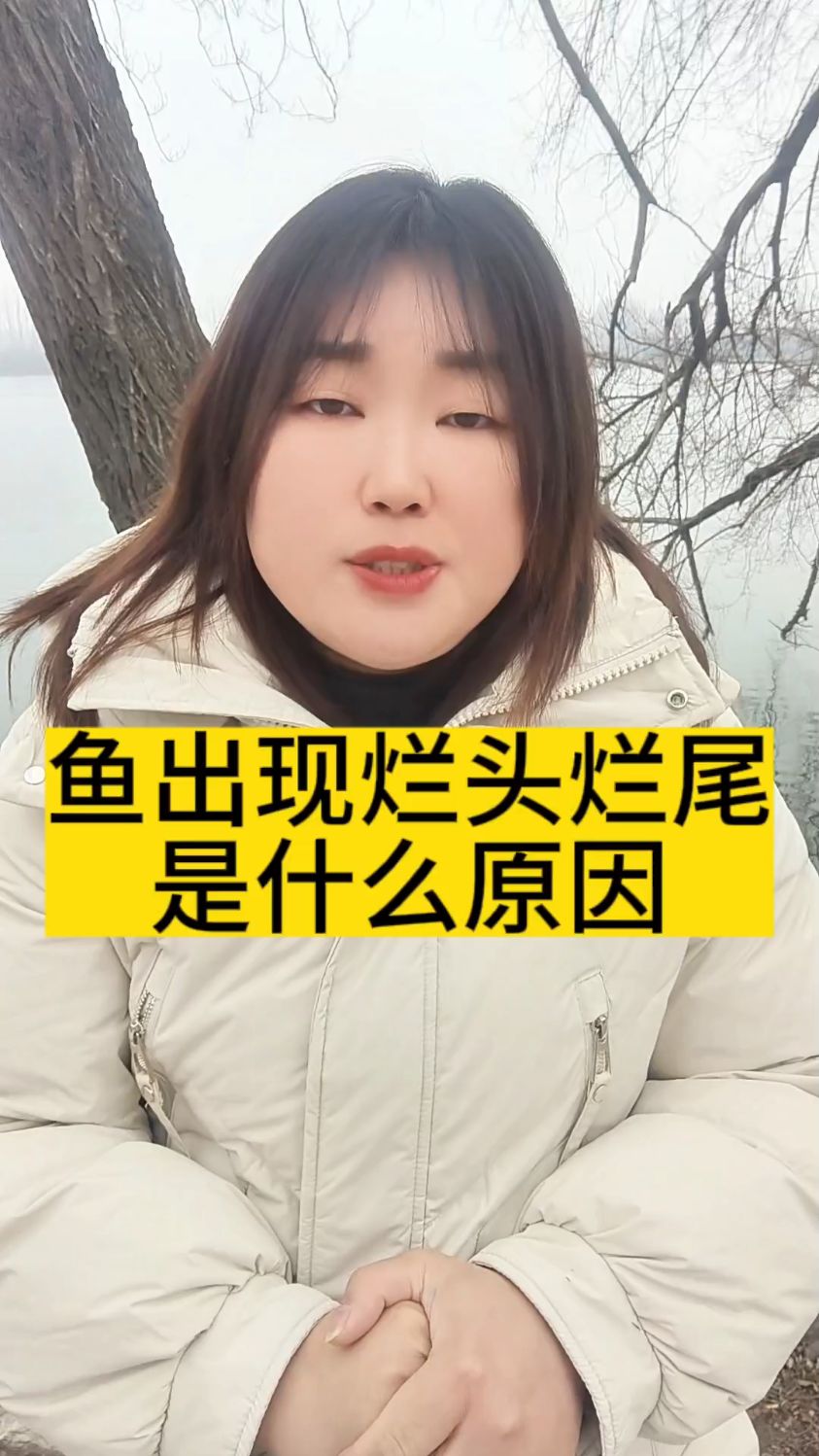 鱼出现烂头烂尾烂嘴是什么原因