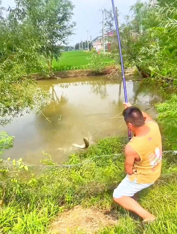 自带鱼钩的大力马线组,真实效果如何?和普通线组有什么区别?