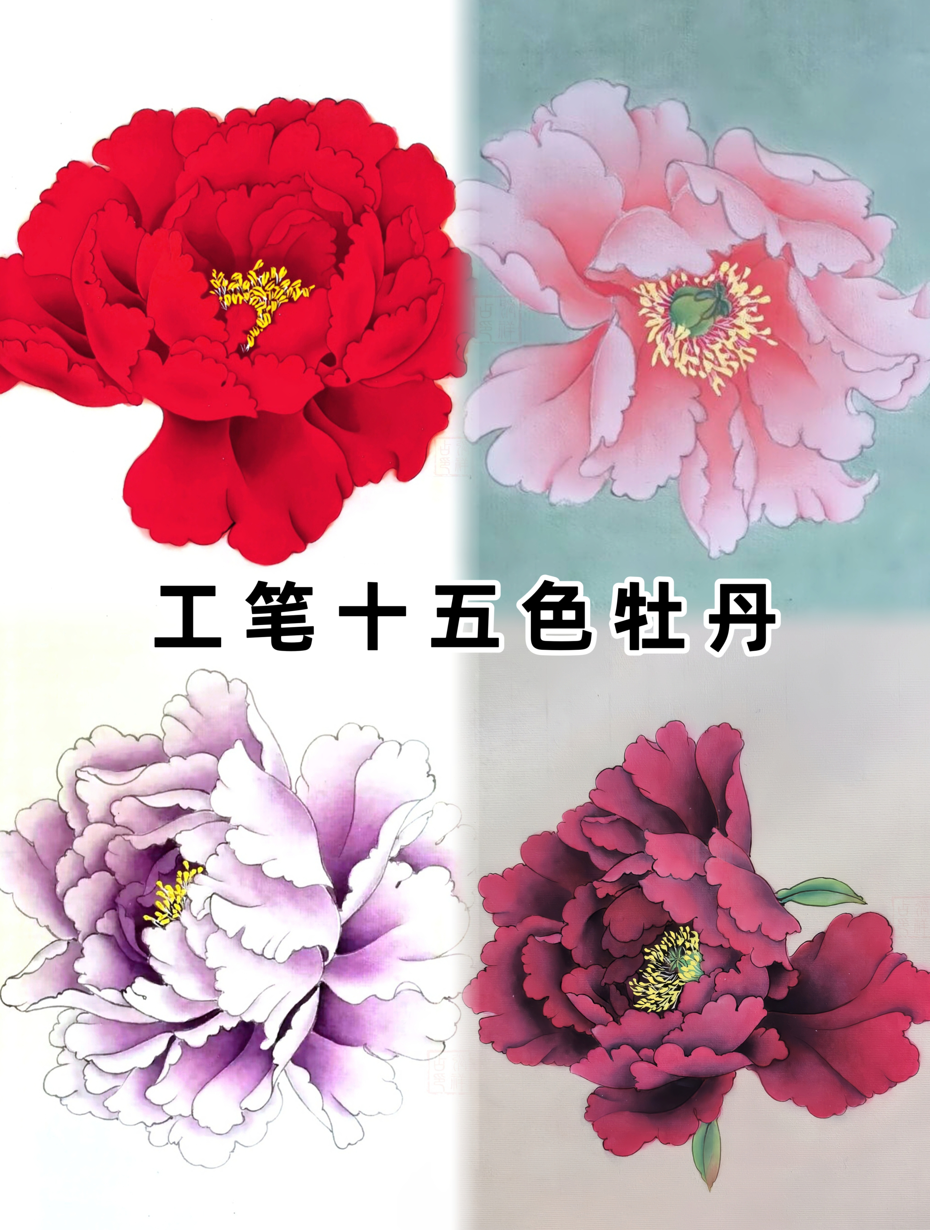 纯手绘工笔十五色牡丹图,清新秀雅精美细致,尽显国画艺术神韵