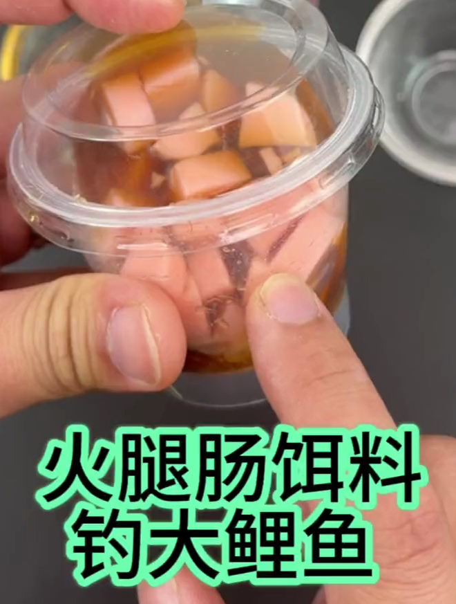 火腿肠也能做饵料?听说专攻大鲤鱼!教程分享来了!