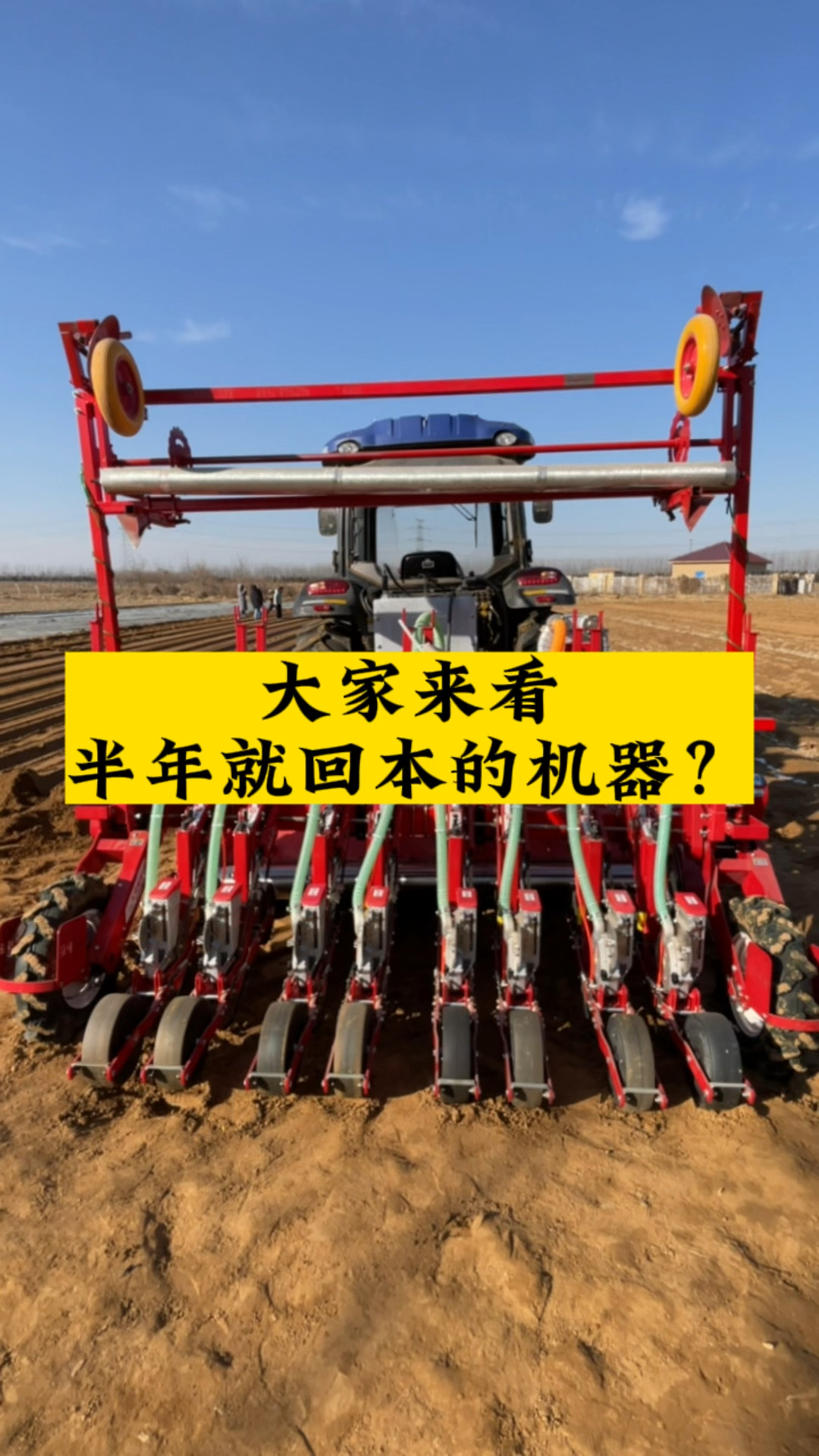半年就回本的机器 蔬菜播种机 种植技巧 娃娃菜 三农 药材播种机