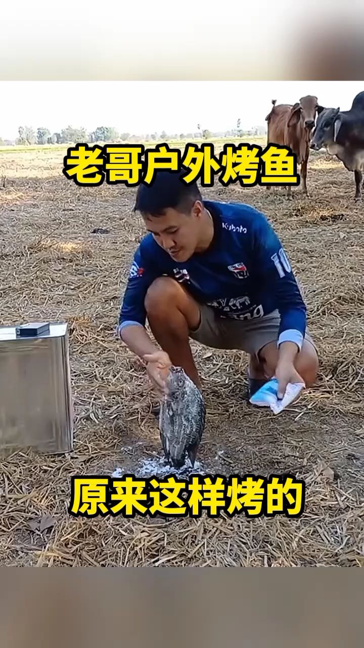 老哥户外烤鱼,原来这样烤的!