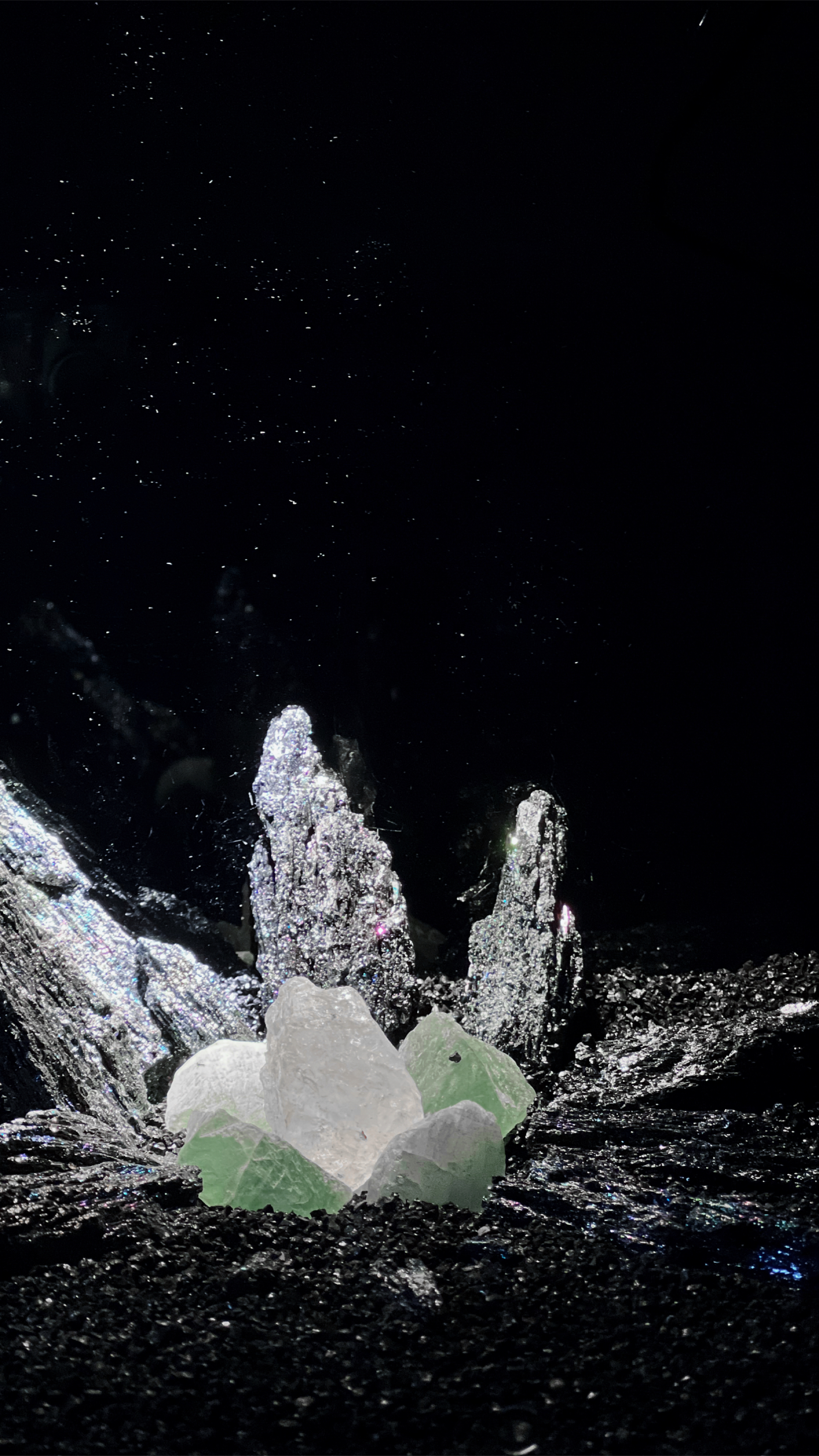 小白的星空造景鱼缸小窝