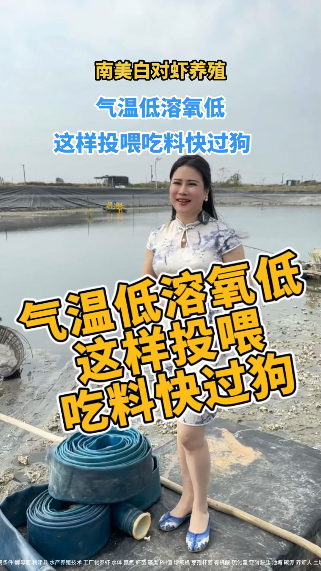 南美白对虾养殖技术气温低溶氧低这样投喂吃料快#南美白对虾养殖