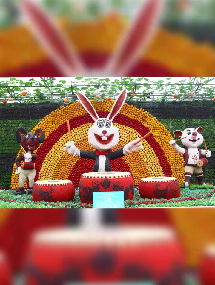 菜博会这些人免门票了