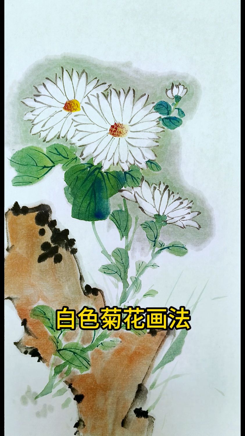 一分钟学会画菊花
