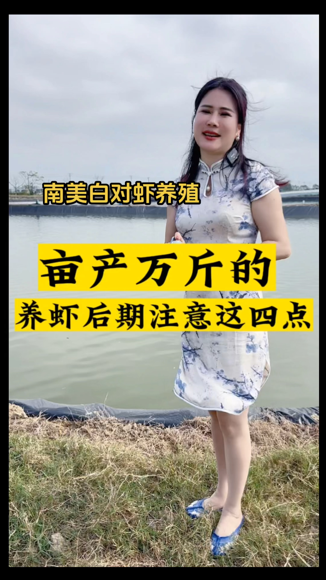 白对虾养殖技术亩产万斤的养虾后期注意这四点#南美白对虾养殖