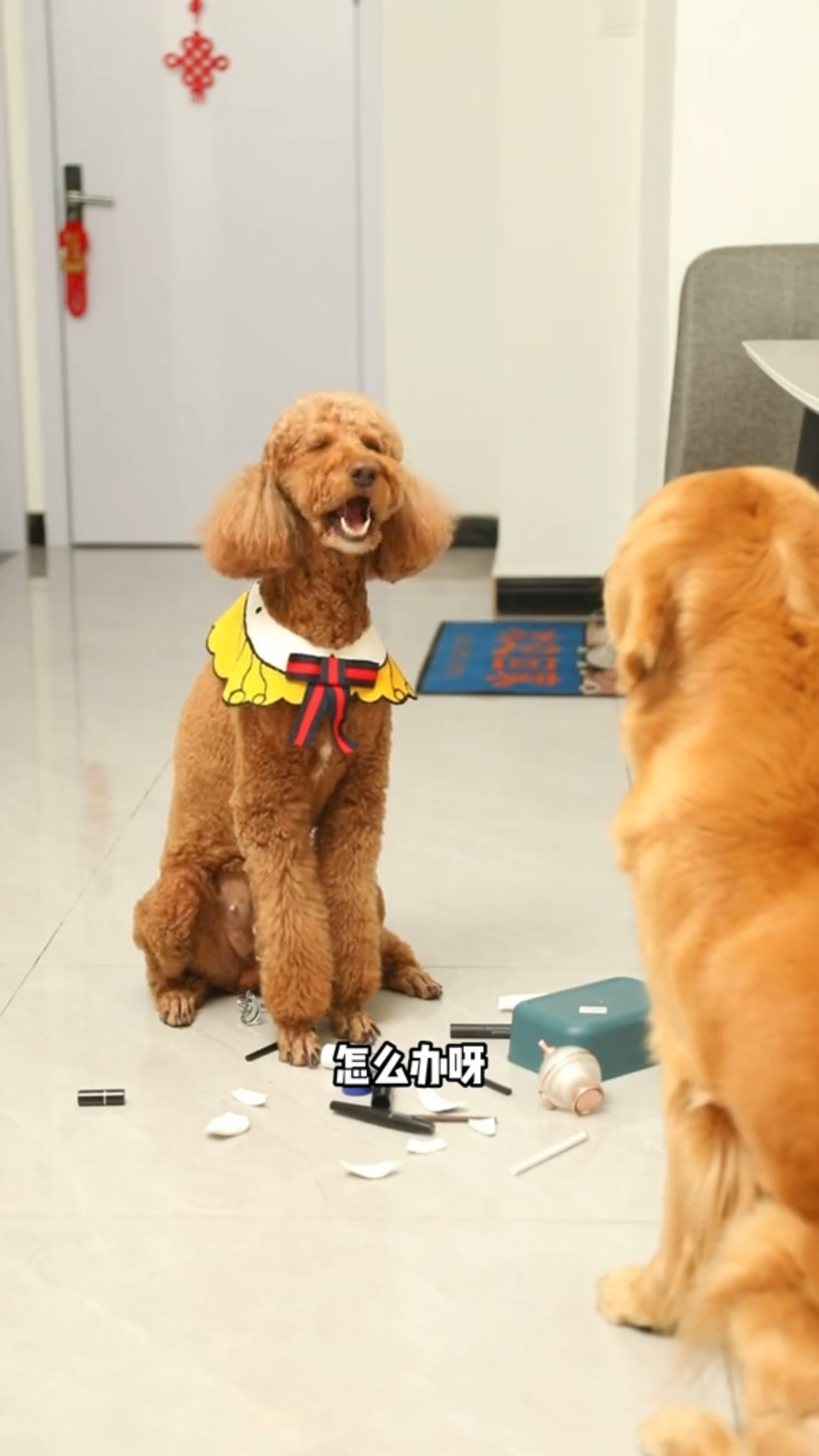 coco为什么要诬陷奶茶