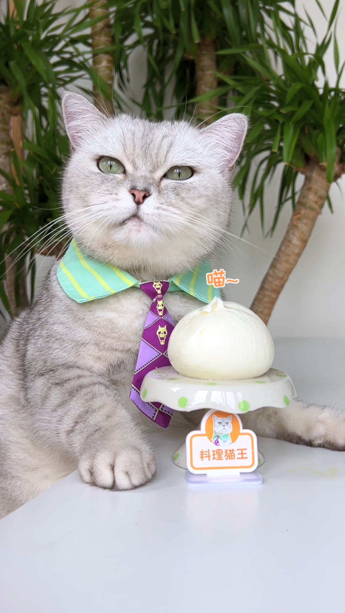 猫王:奶包子真的有这么难吃吗?