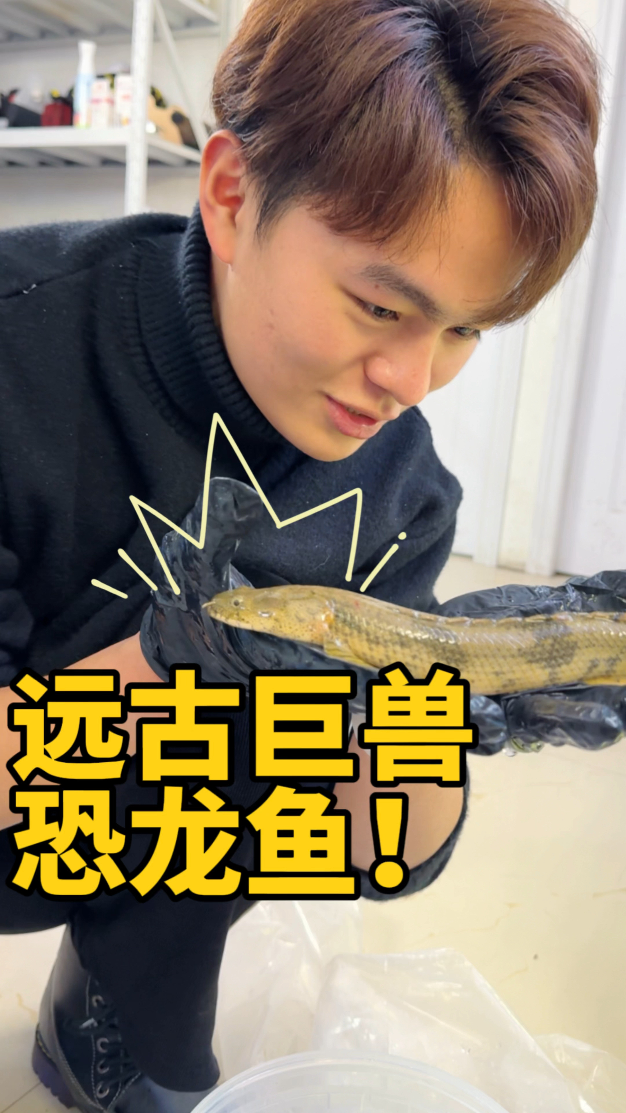 和恐龙一样古老的鱼,我还真就养了!