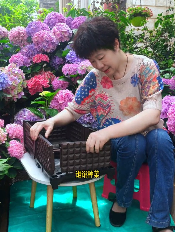 阳台种菜空间不够?有了这个小玩意,阳台再小也能体验种植的乐趣