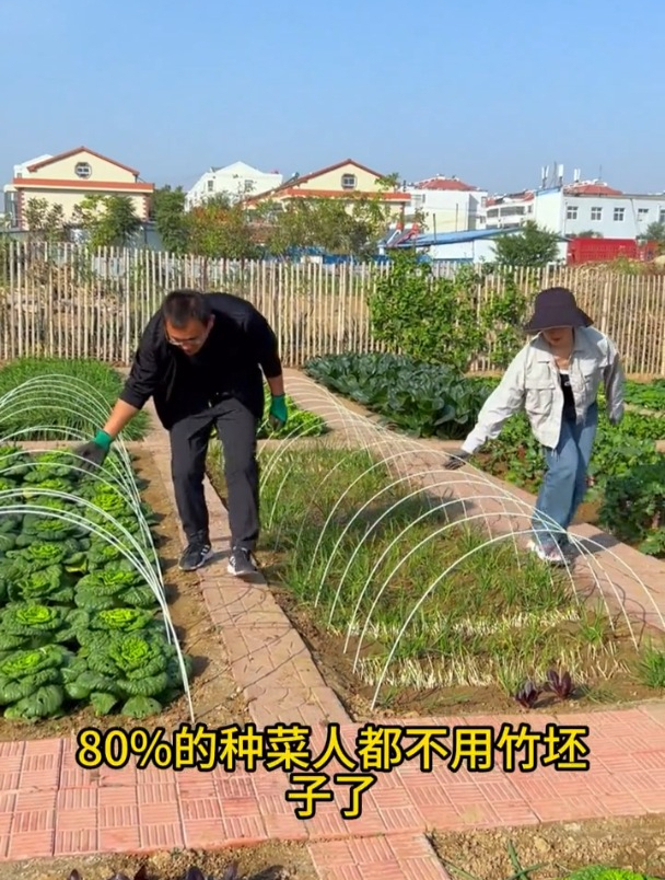 种菜搭架子,还在用竹竿?费劲还容易腐烂