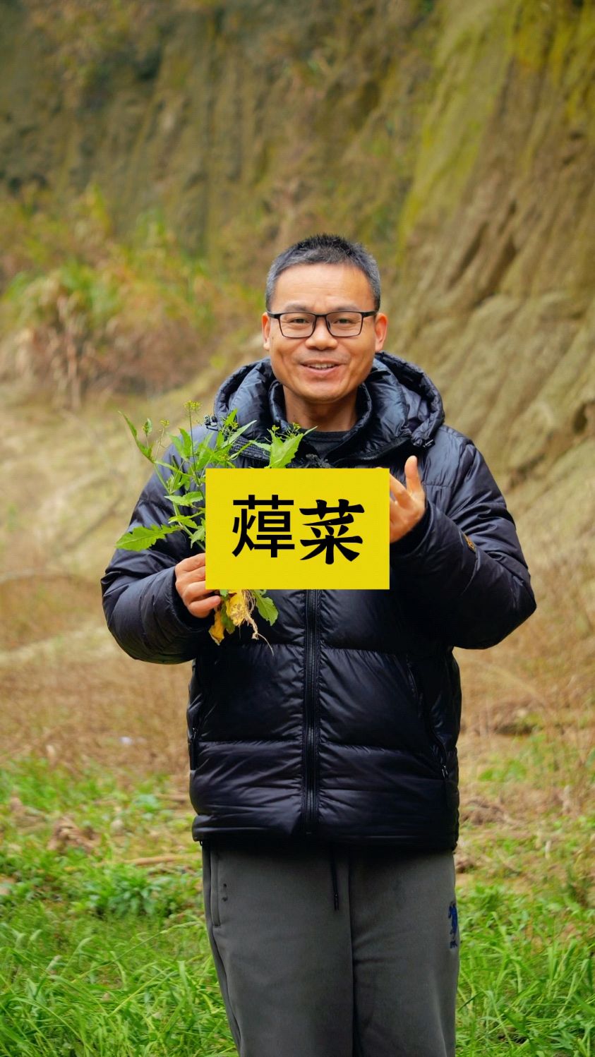 蔊菜为什么又叫地豇豆?