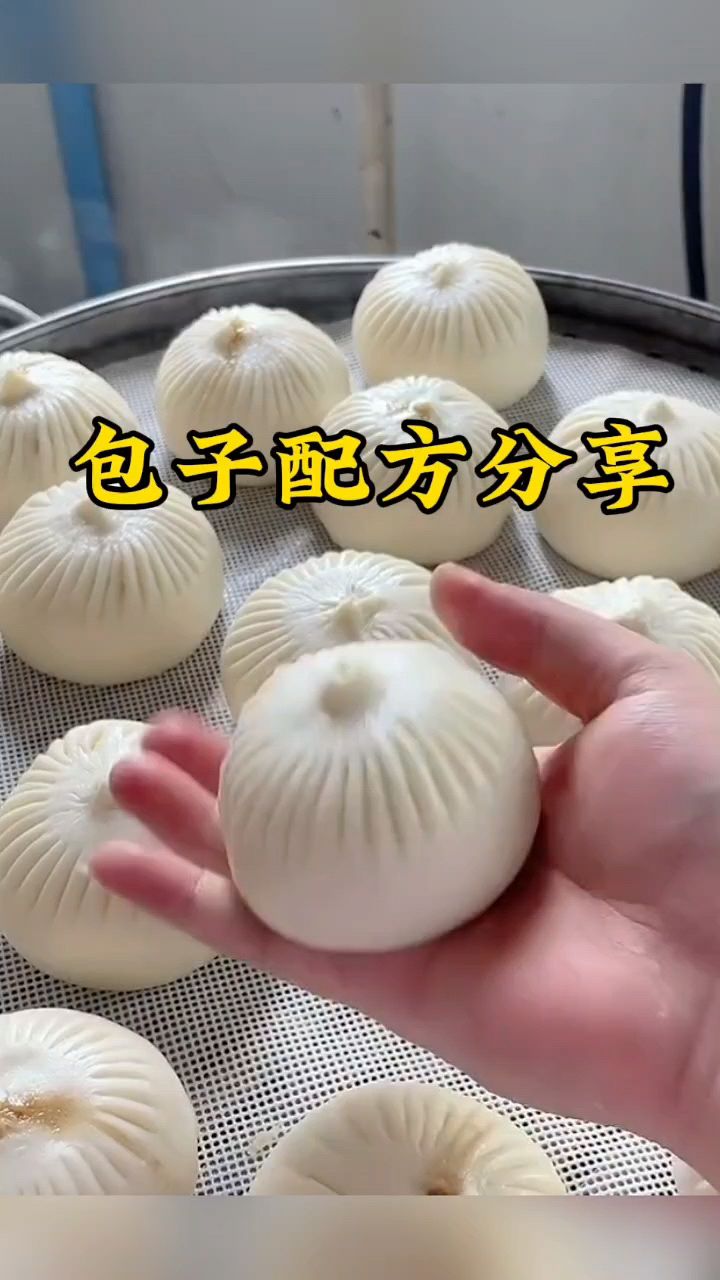 包子配方分享,包子和面配比,包子做法分享