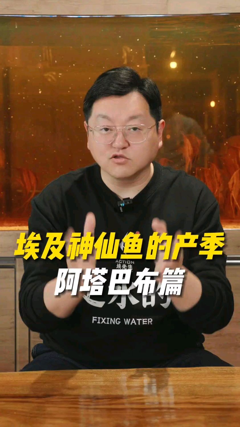 埃及神仙鱼是如何进入国内,再到大家手上的?