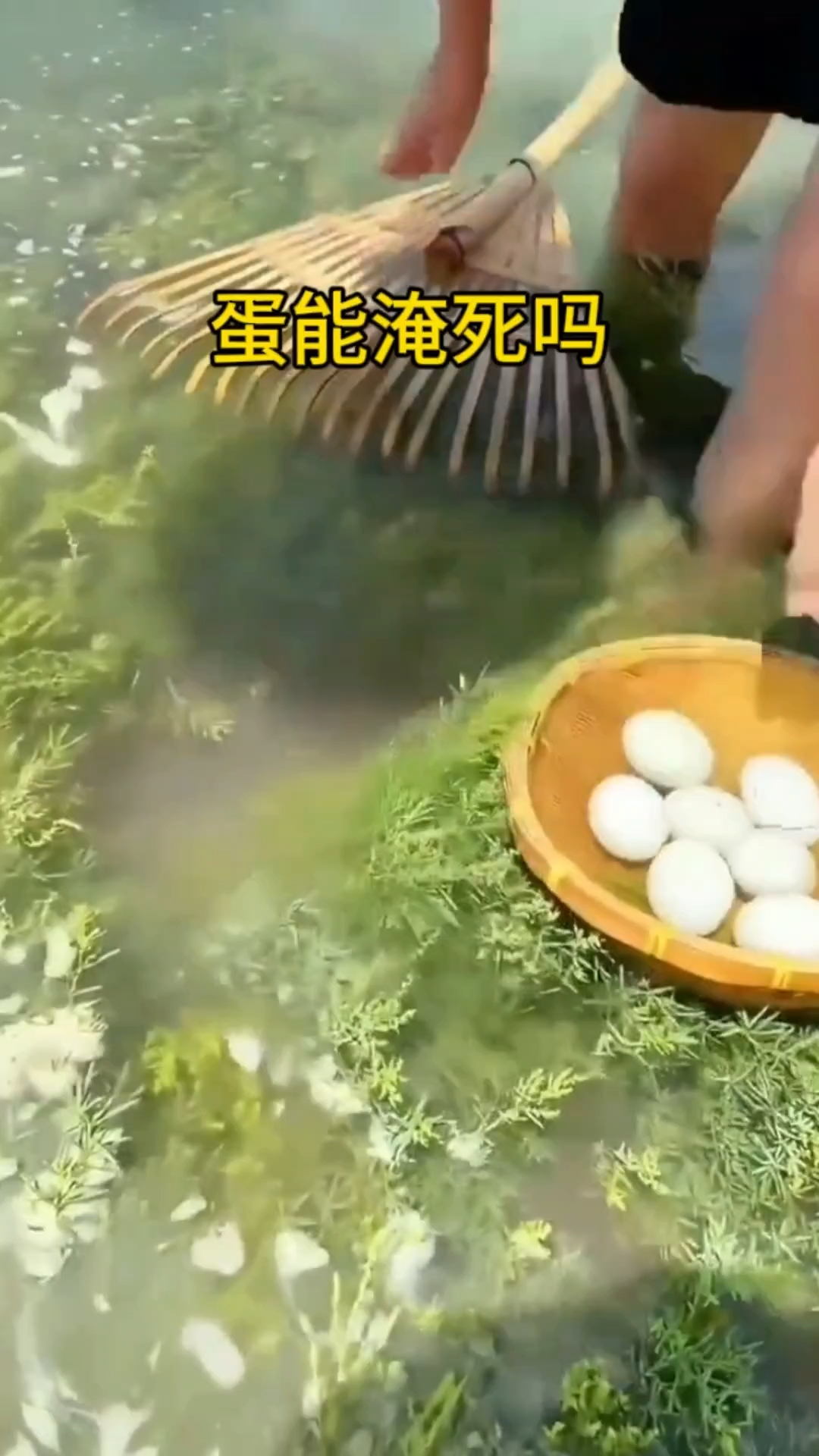 鸭蛋还能下在水里吗