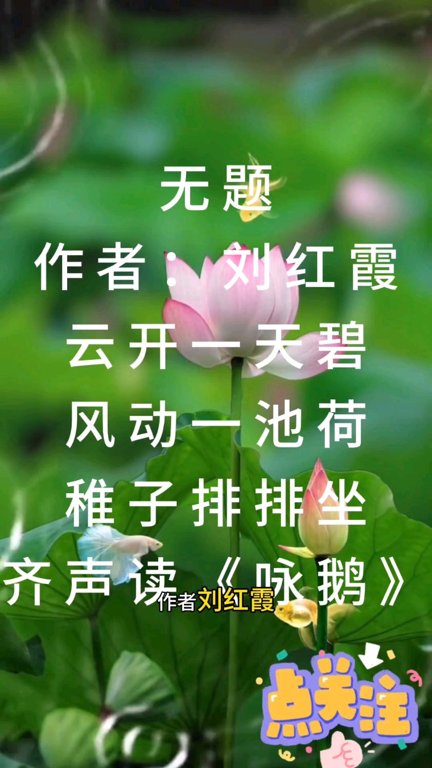 五言绝句《无题》
