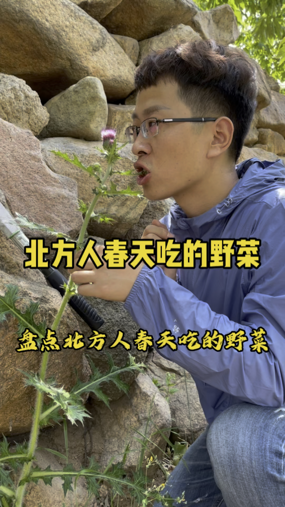 盘点北方人春天吃的野菜