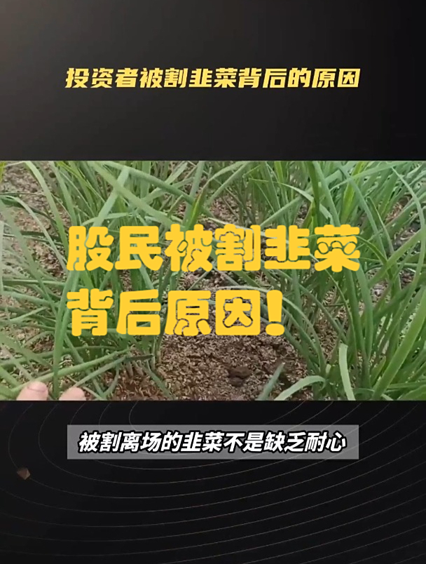 股民被割韭菜的背后原因
