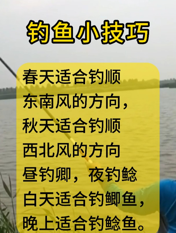 钓友们!记住这些钓鱼技巧,让你轻松爆护!