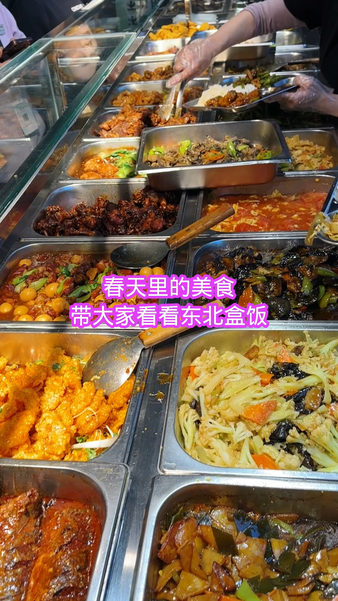 带大家看看东北盒饭菜