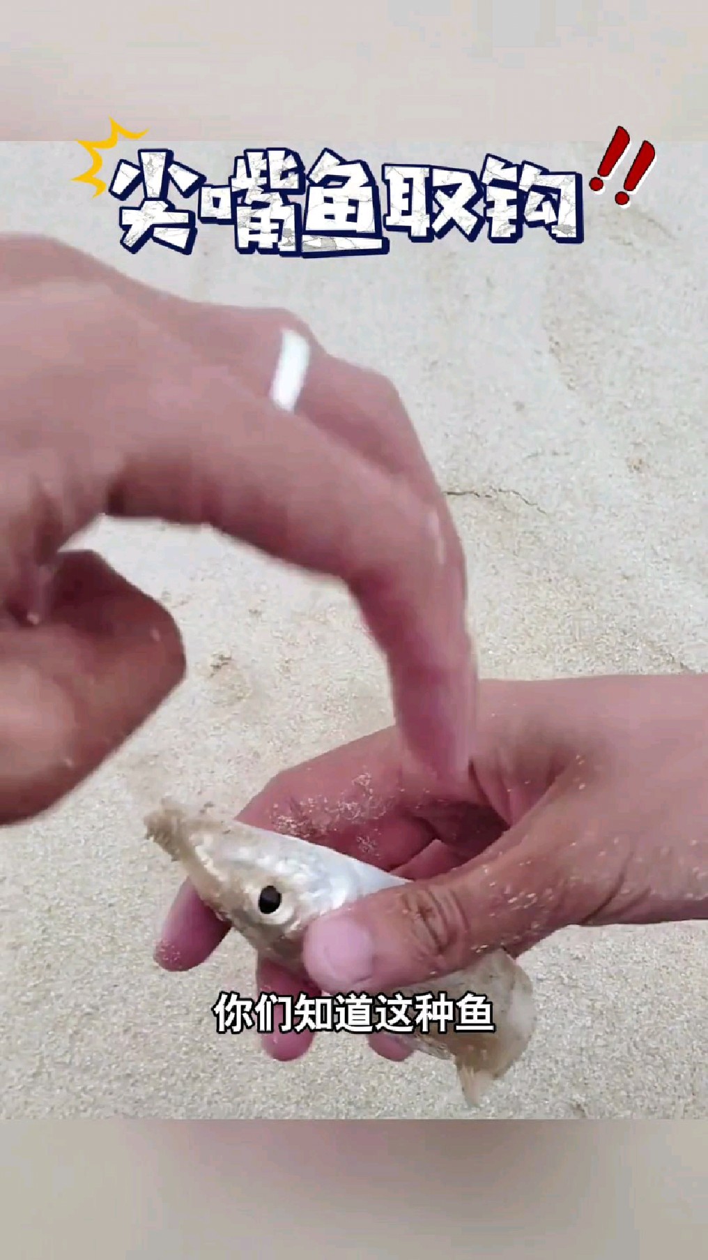 尖嘴鱼的取钩很简单