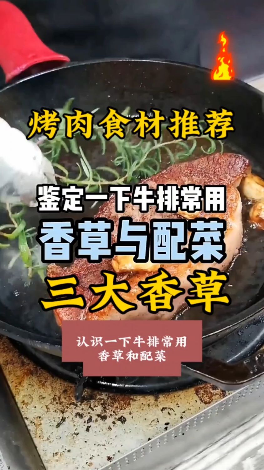 牛排常用的三款香草,烤肉食材推荐,家庭牛排口粮推荐