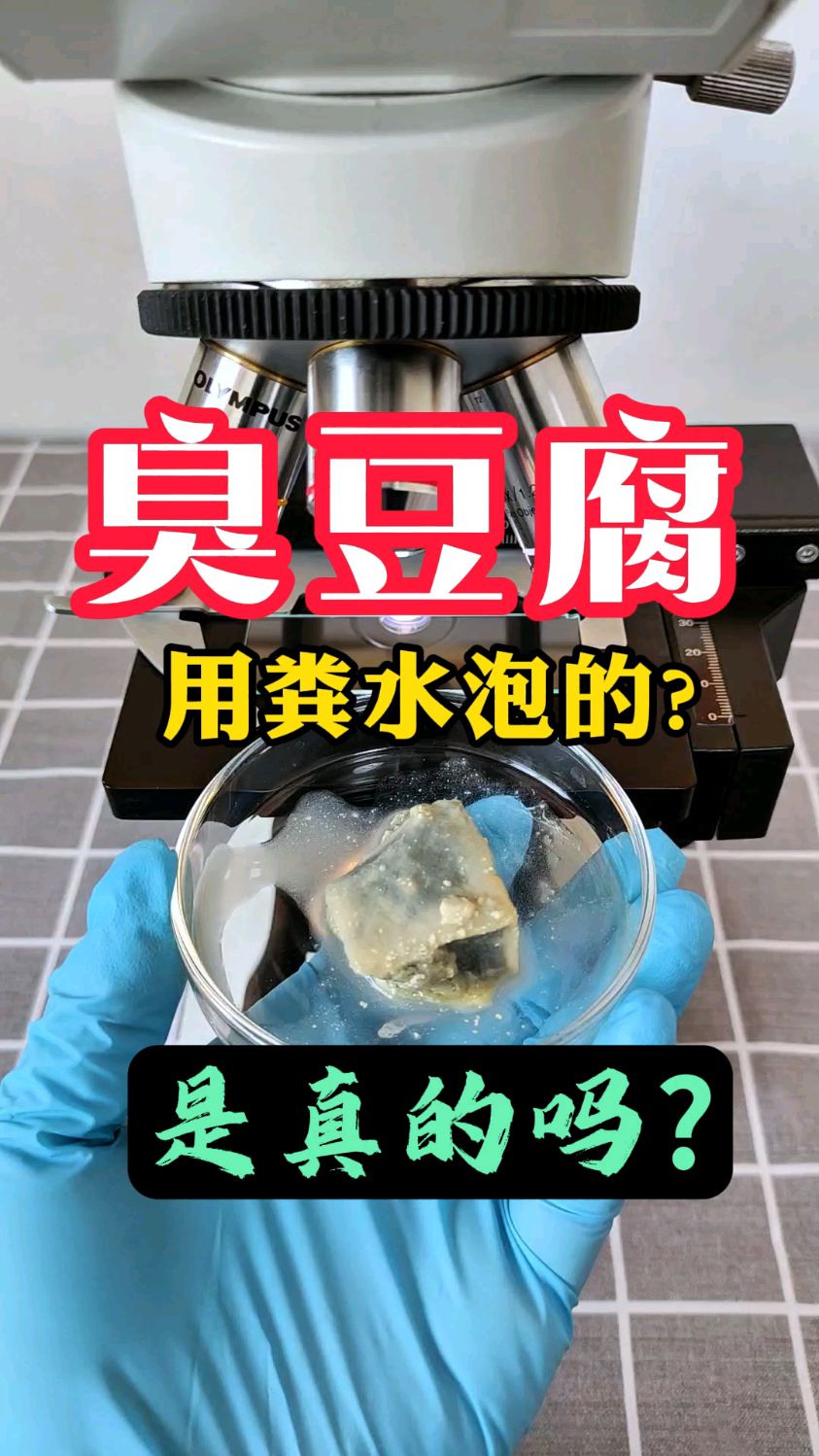 臭豆腐用粪水泡的是真的吗?臭豆腐放大600倍