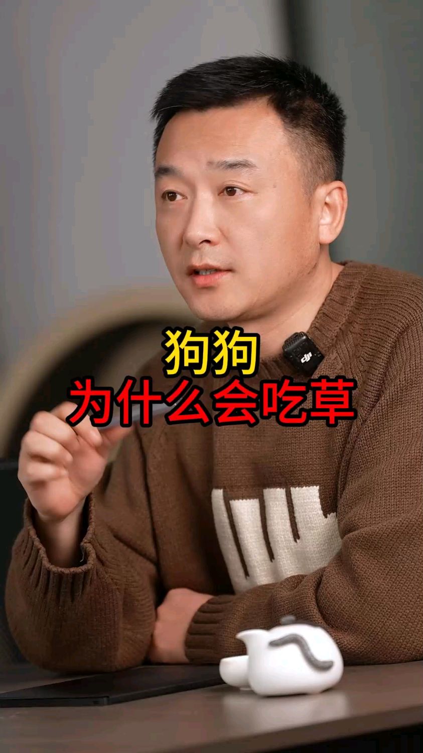 遇到狗狗吃草,不要大惊下怪