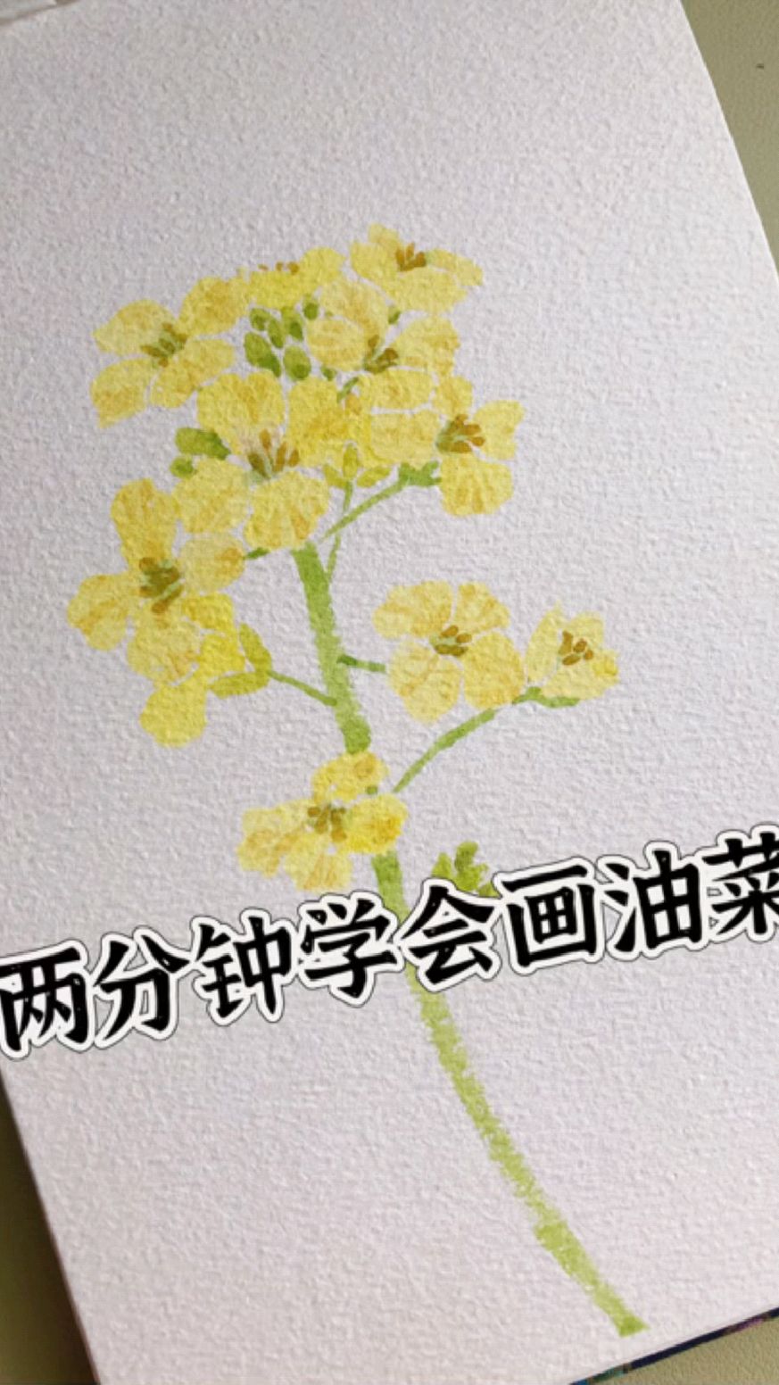 两分钟学会画油菜花|超简单油菜花教程来啦