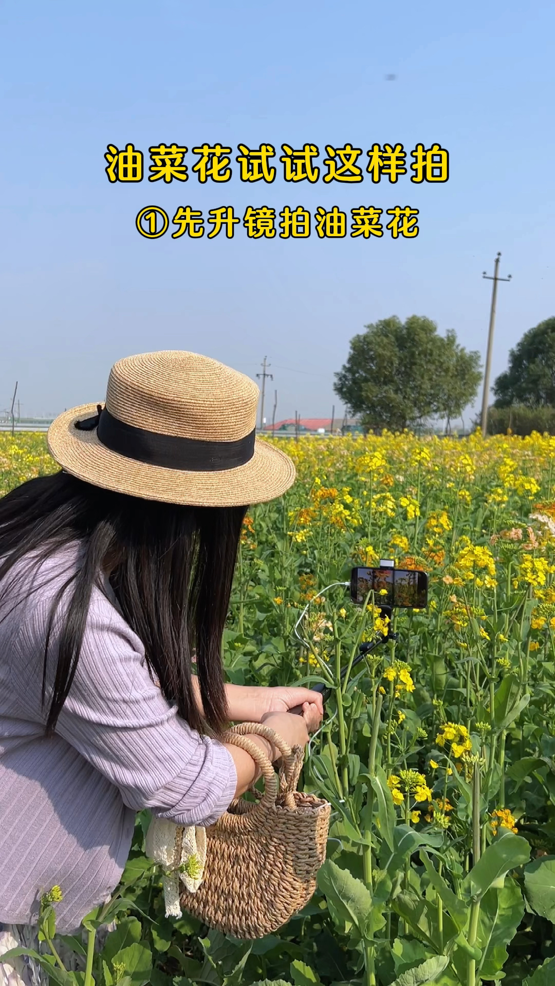 油菜花田试试这样拍