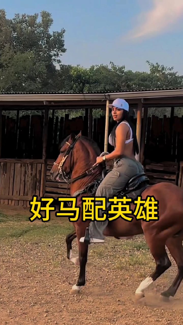 训练有素的马儿是怎么走路的