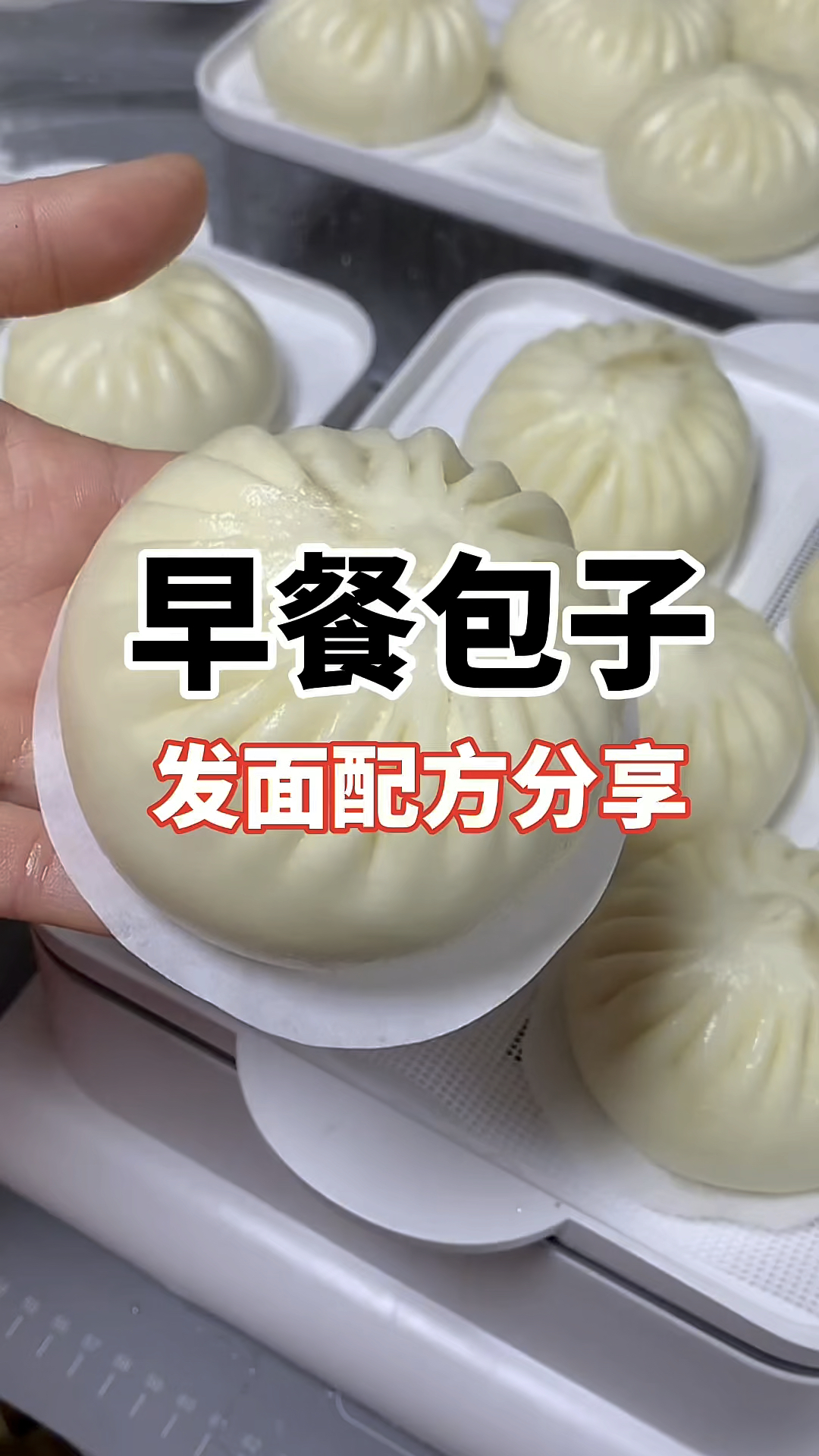 早餐包子发面教程,早餐包子技术教学,学做包子技术包子做法教程