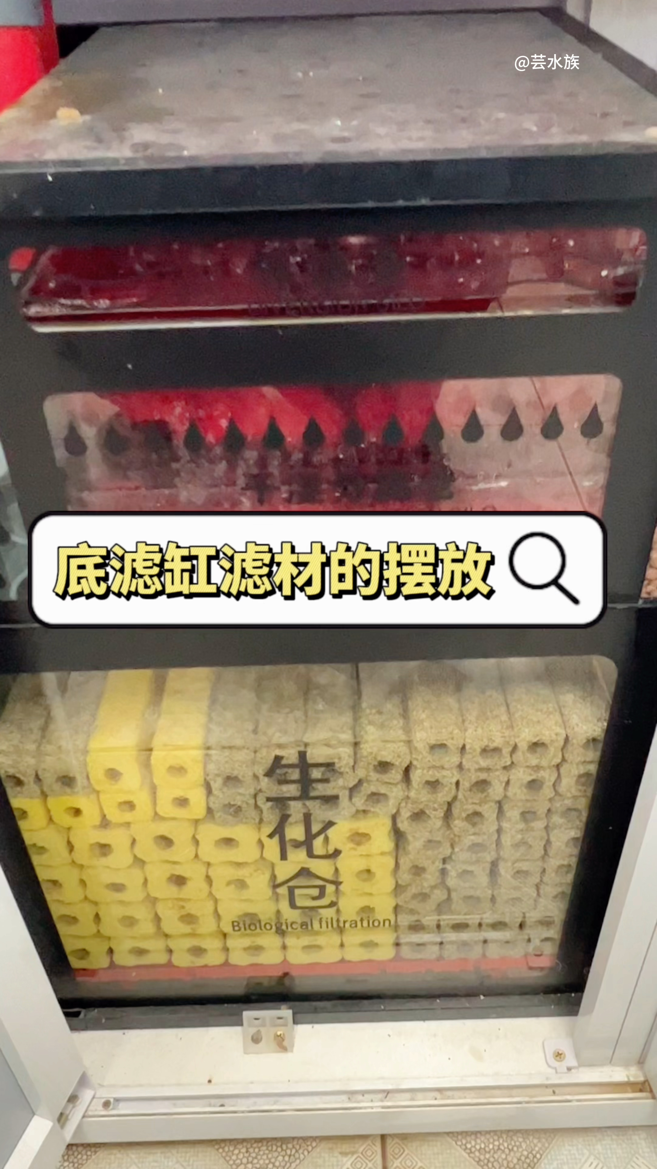 底滤缸的滤材怎么摆放才能发挥最大作用?#水族#滤材#养鱼日记