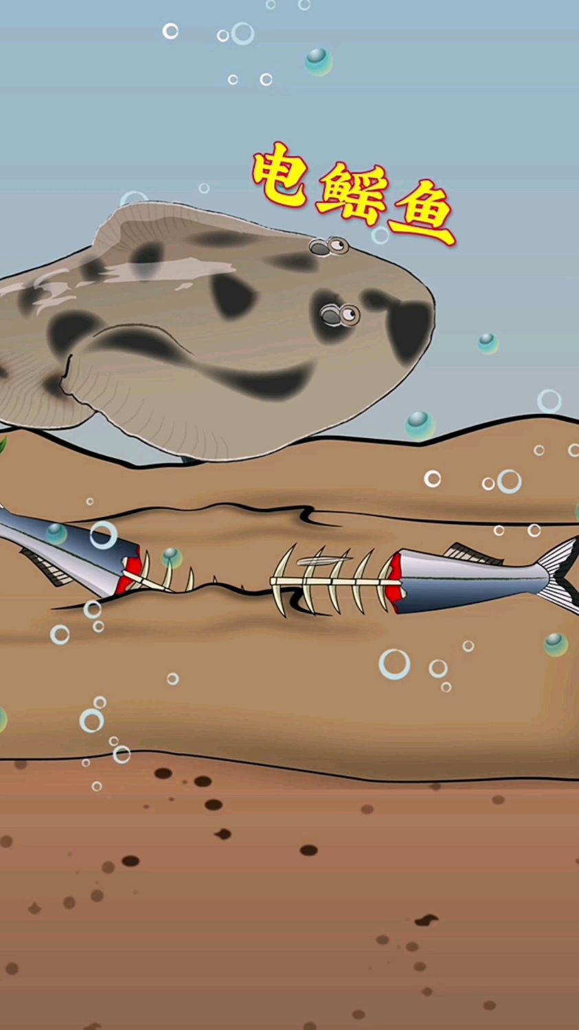 你知道吗?电鳐鱼会通过放电把猎物电晕,再进行吞食!