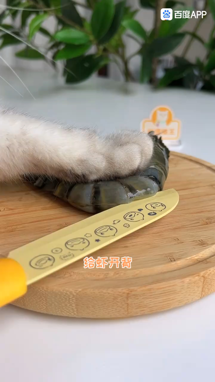 比手还大的黑虎虾,做成芝士焗虾,鲜掉眉毛