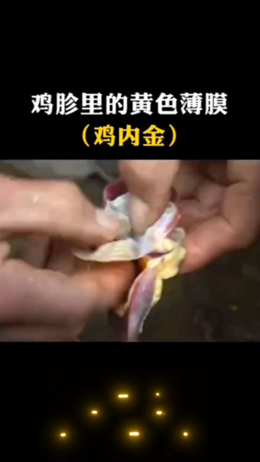 鸡内金能化结石,它究竟是鸡身上的哪个部位?