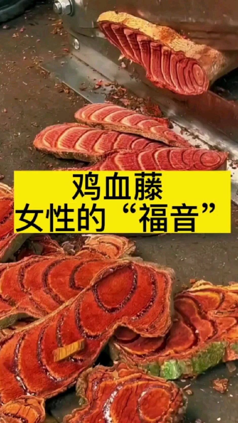 带你了解-鸡血藤 女性内调“福音”