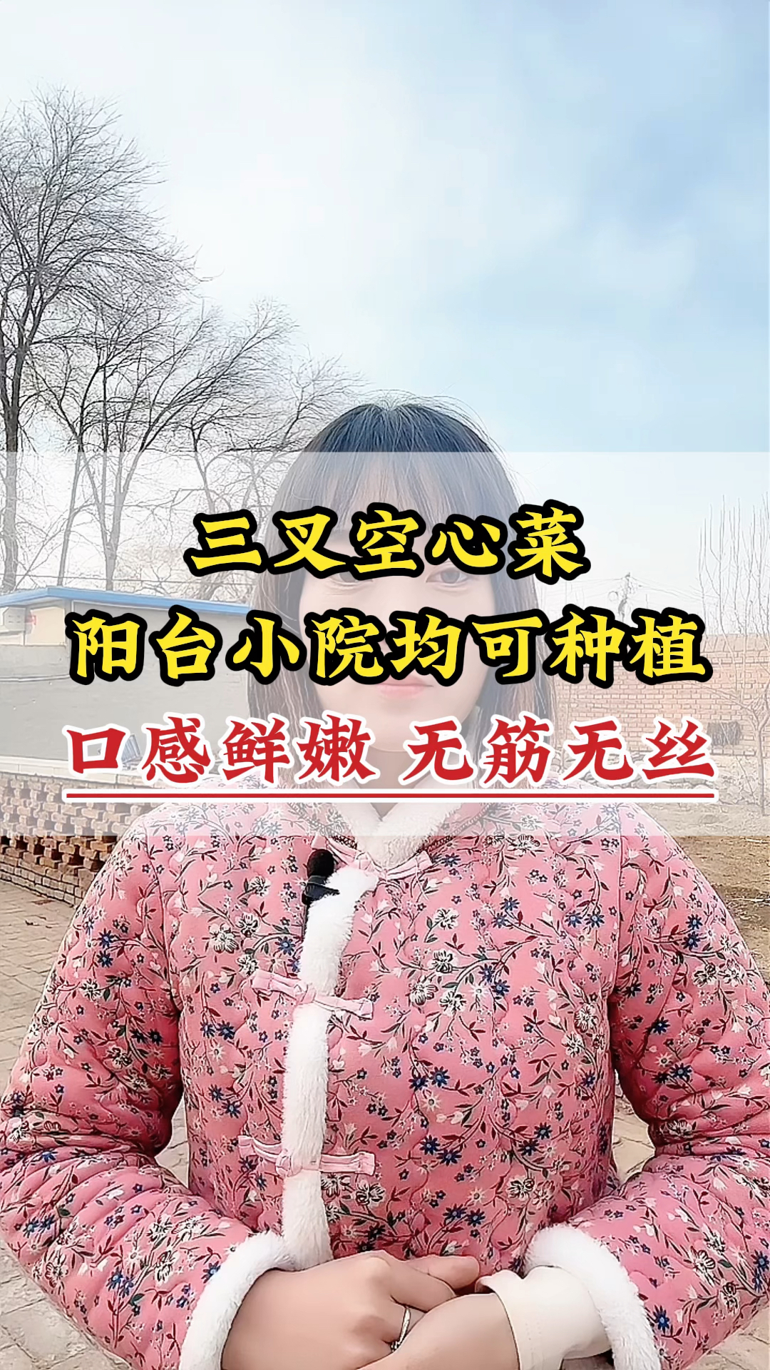 三叉空心菜,阳台小院均可种植,口感鲜嫩无筋无丝#三叉空心菜