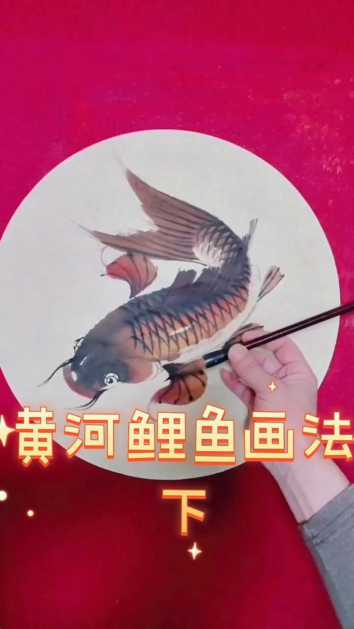 教您画黄河鲤鱼下集