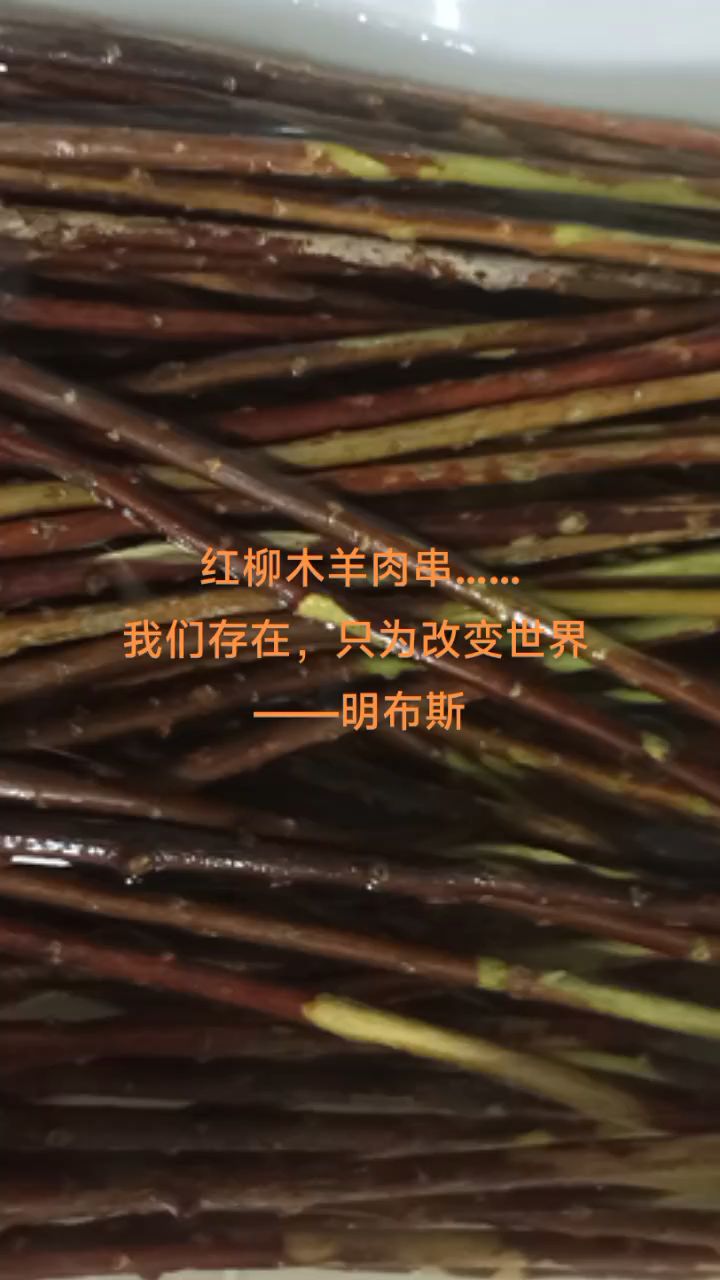 新鲜红柳木羊肉串