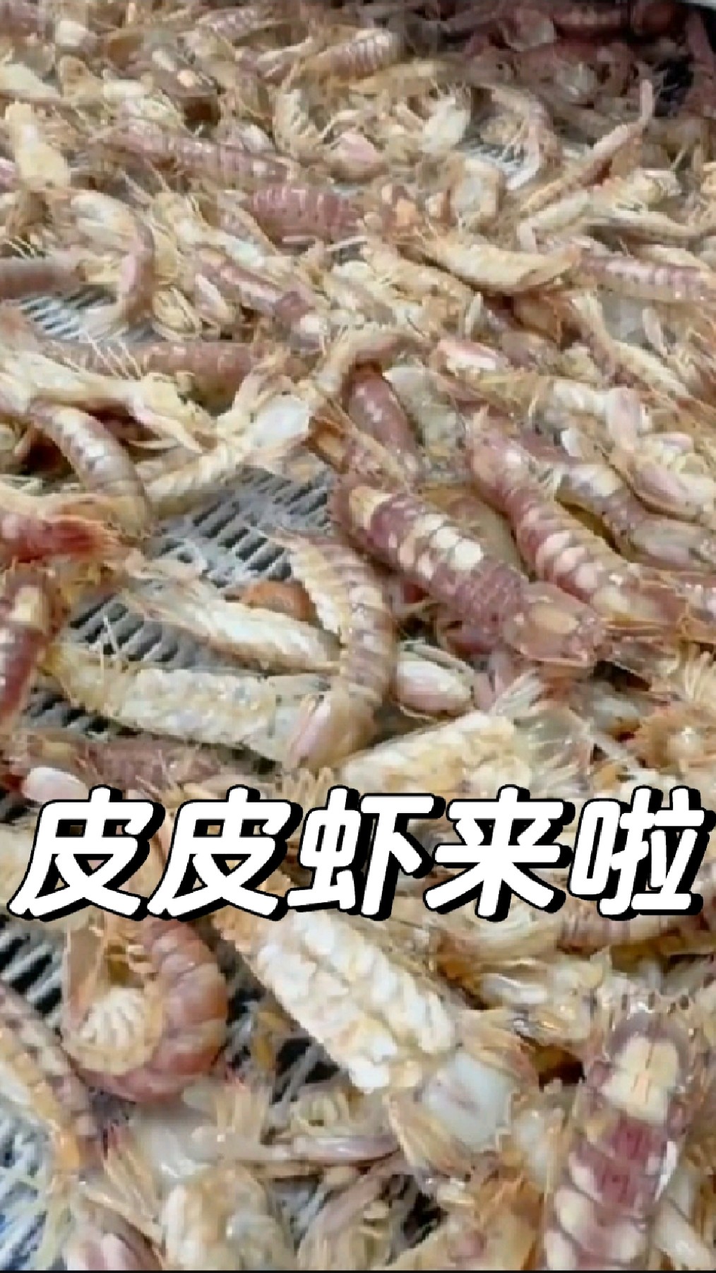 3到6月份是吃皮皮虾的季节,活虾制作,速冻发货,口感依旧肥美!