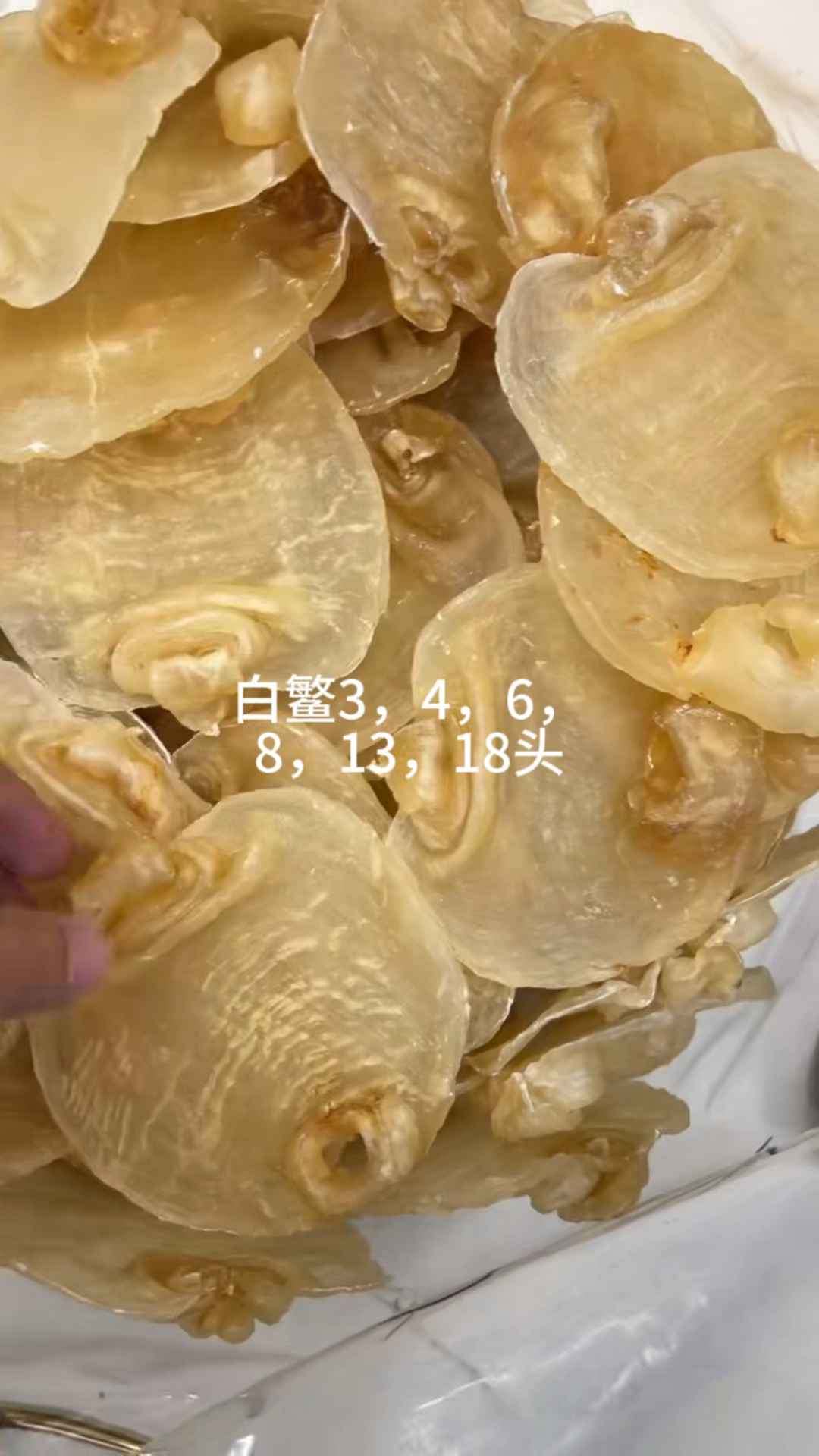 黄花胶,阴阳片,土鳘,苏母,佐罗条,白鳘,珍珠胶,小白花,赤嘴,鳕鱼胶,双牙筒
