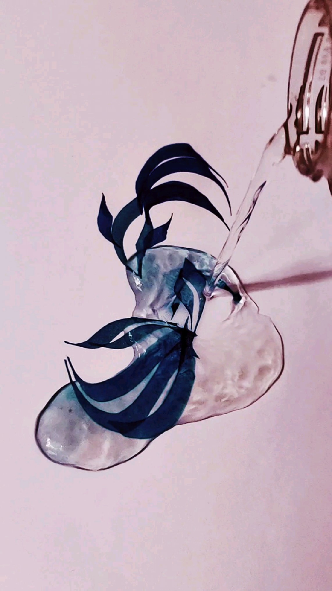 手绘两只鱼儿水中游